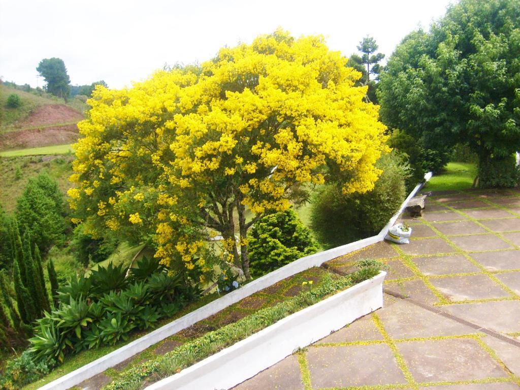 Casa Para Final De Semana E Temporada Descansopolis Campos do Jordao Exterior photo